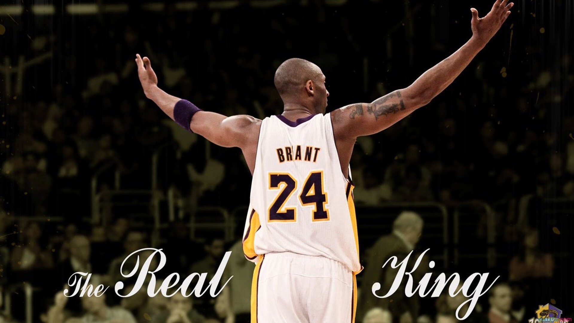 詹姆斯新星惊险取胜表现惊艳，独行侠未来可期！